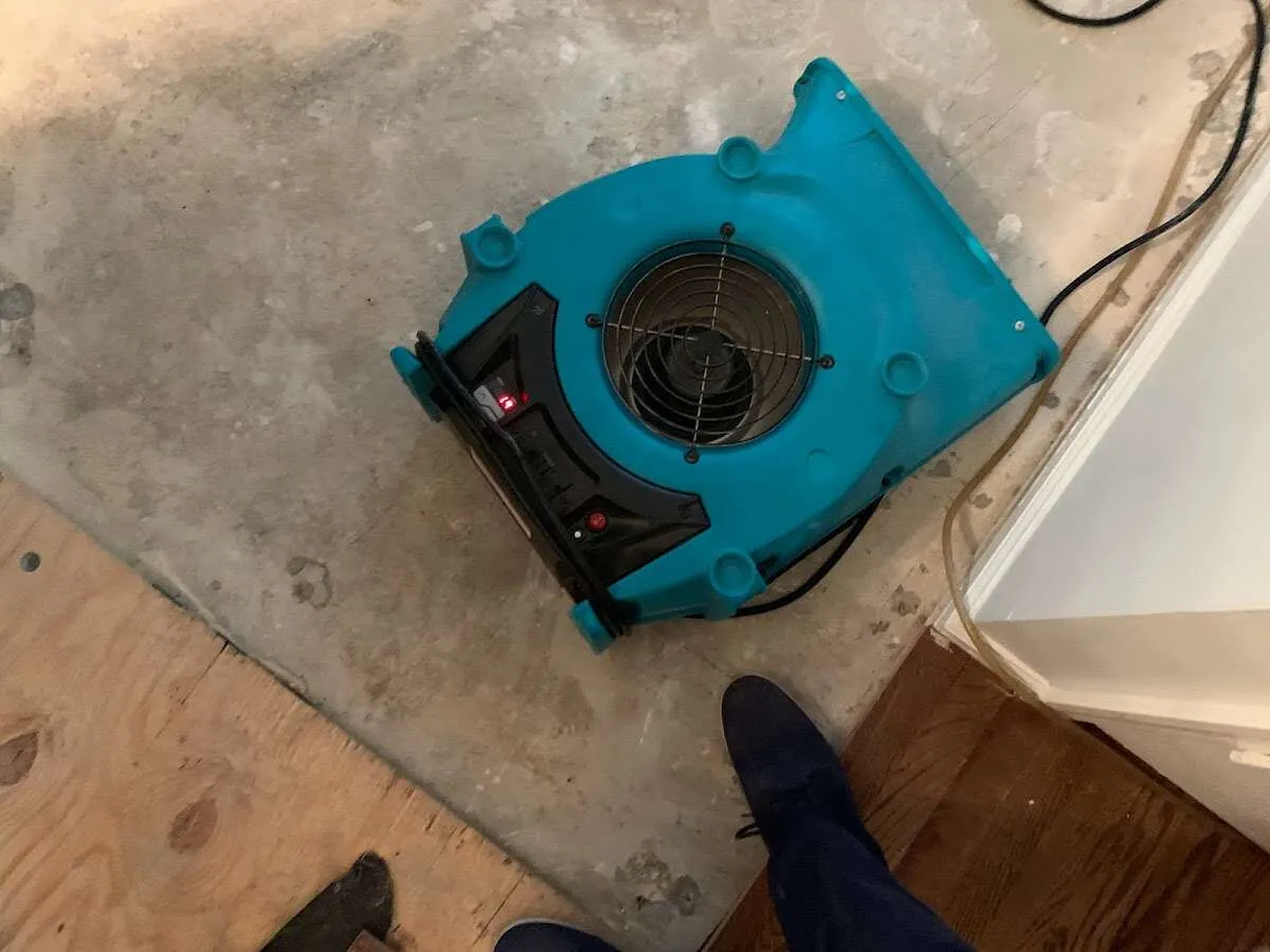 Air mover drying subfloor during Commercial Water Damage Restoration in Garden Home-Whitford
